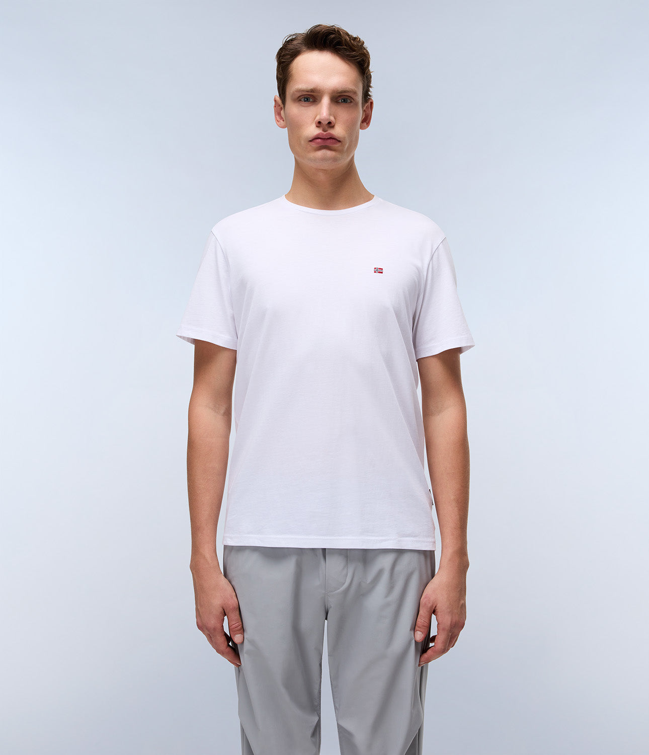 T-shirt uomo Napapijri SALIS SS SUM