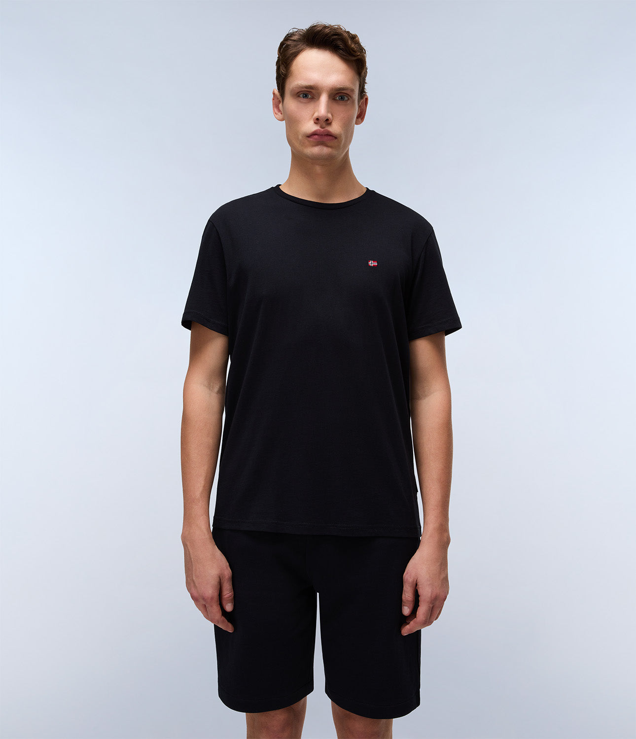 T-shirt uomo Napapijri SALIS SS SUM