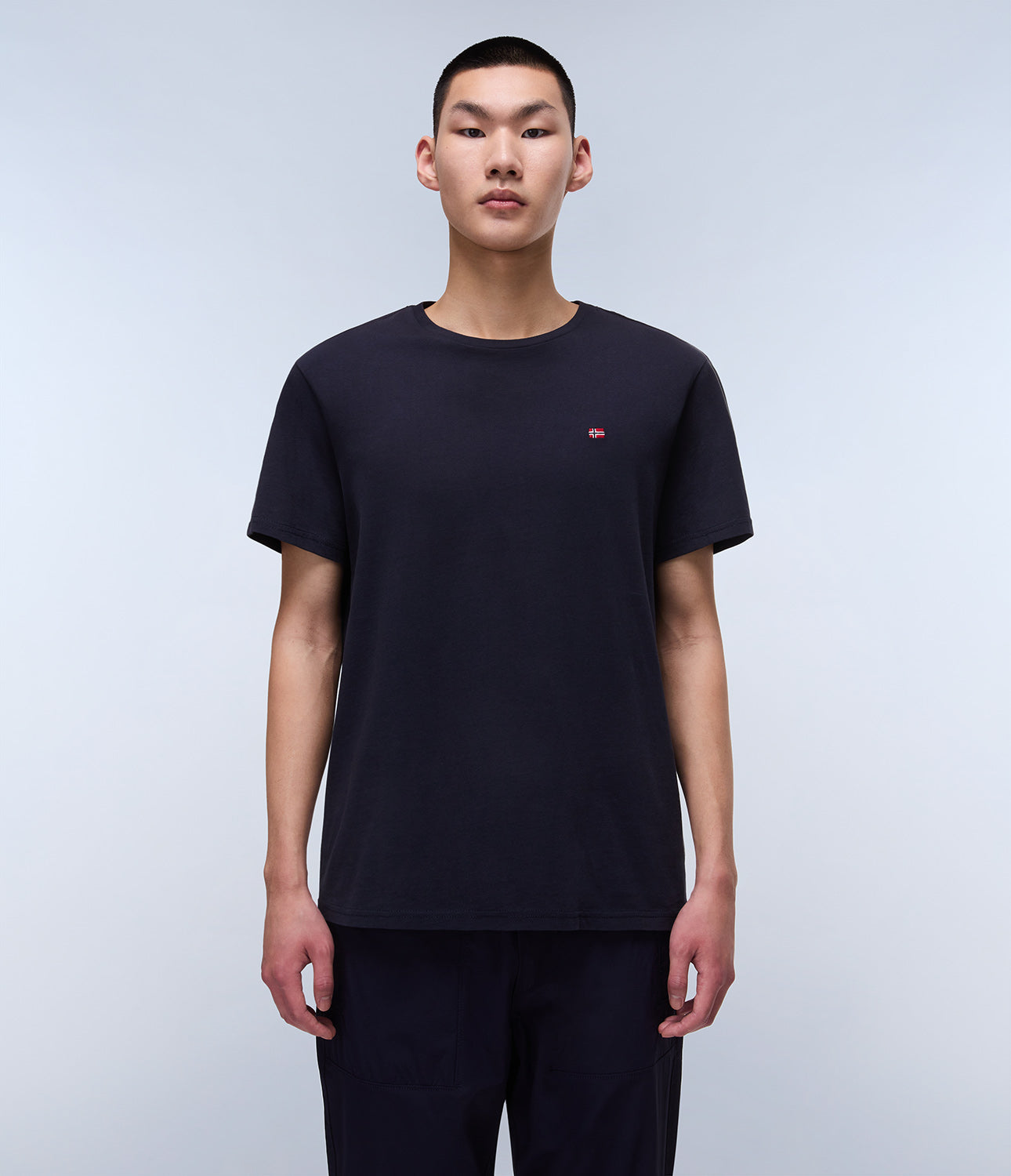 T-shirt uomo Napapijri SALIS SS SUM