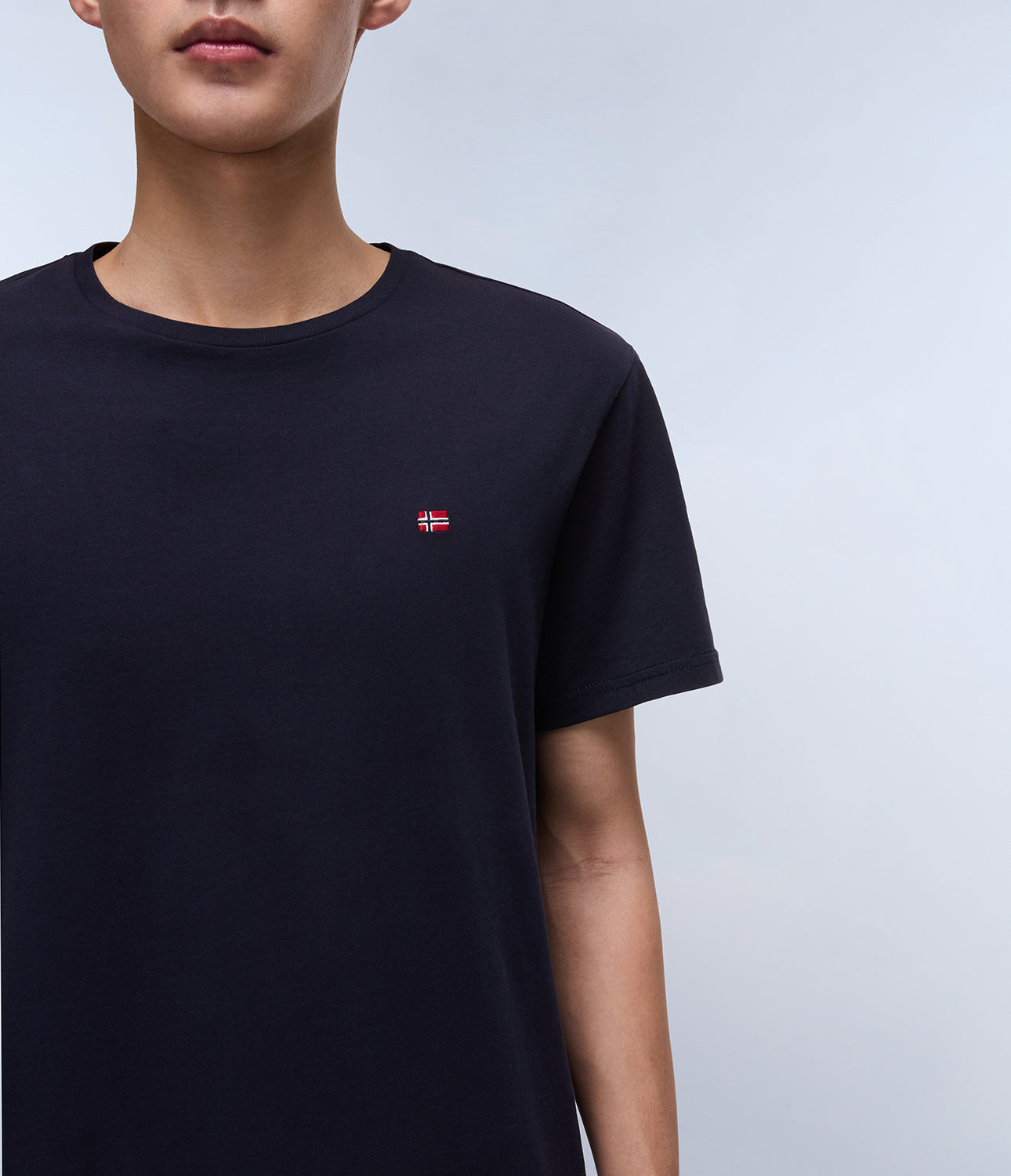 T-shirt uomo Napapijri SALIS SS SUM