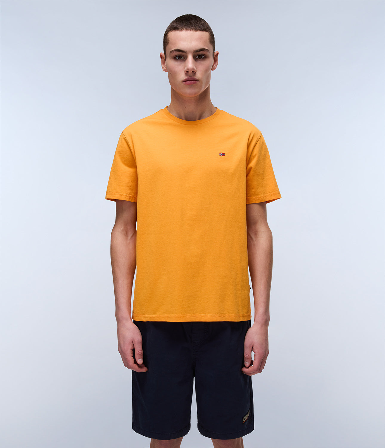 T-shirt uomo Napapijri SALIS SS SUM