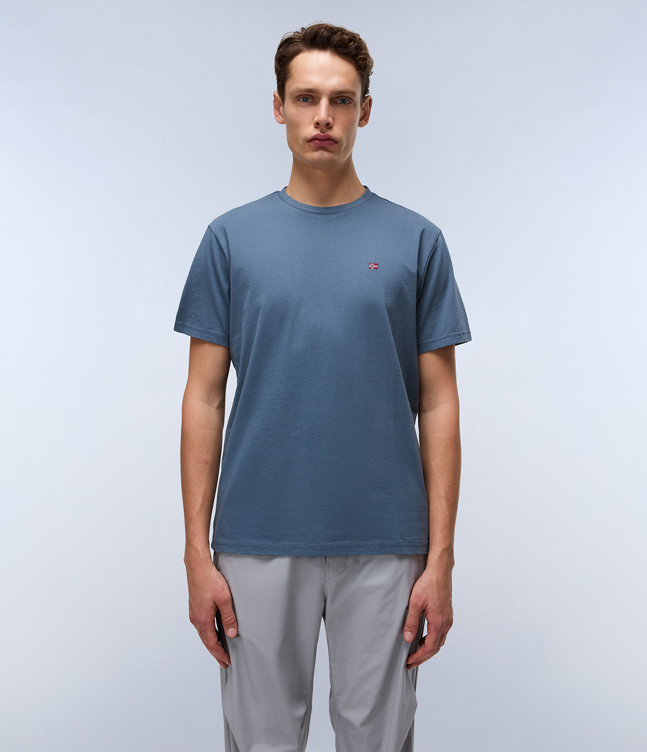 T-shirt uomo Napapijri SALIS SS SUM