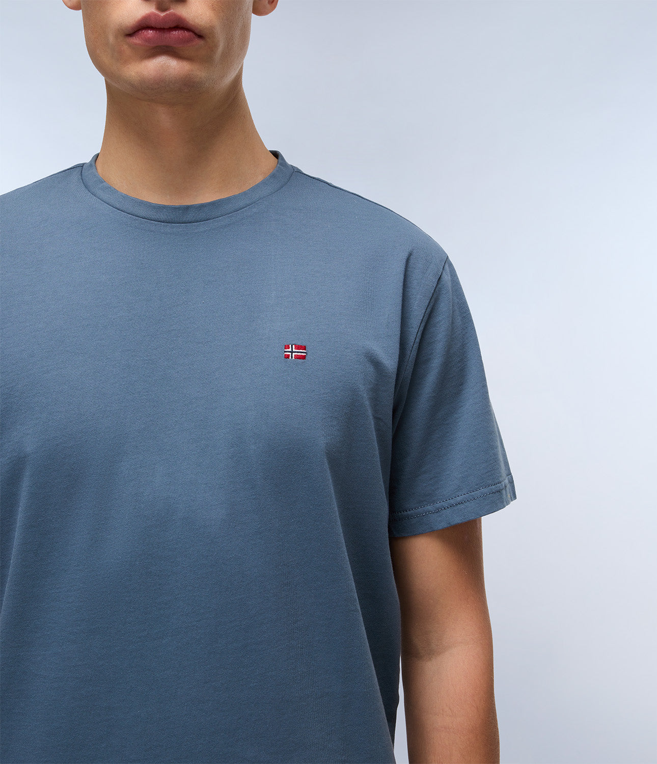 T-shirt uomo Napapijri SALIS SS SUM