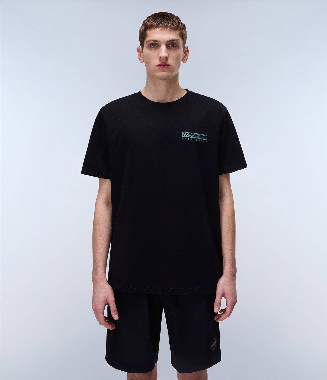 T-shirt uomo Napapijri S-VIGNONI BACK