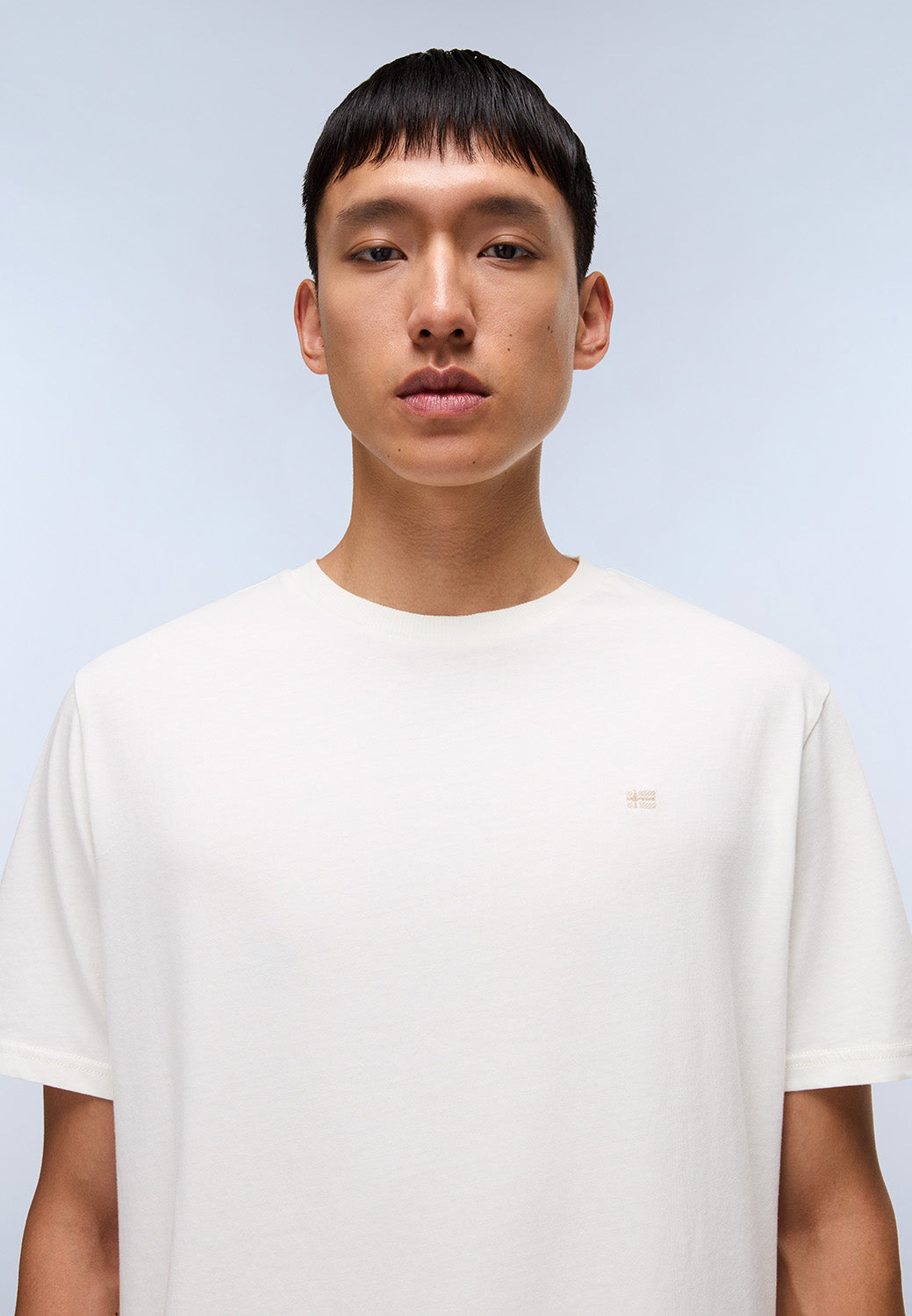 T-shirt uomo Napapijri S-NEDLES